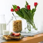 Compact Near Krupowki In By Rent Like *