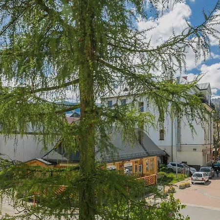 شقة Compact Near Krupowki In By Rent Like