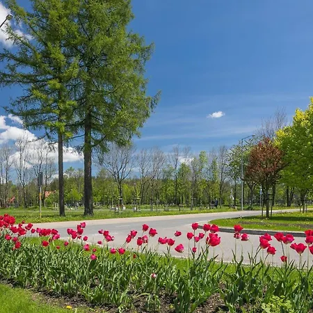 Compact Near Krupowki In By Rent Like *