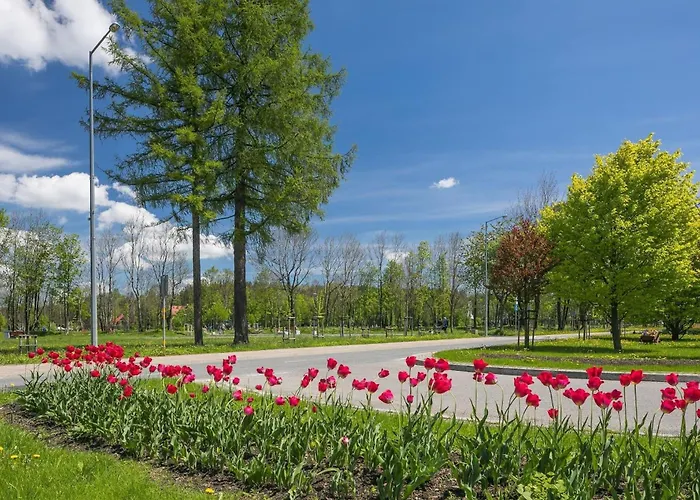 Compact Near Krupowki In By Rent Like *